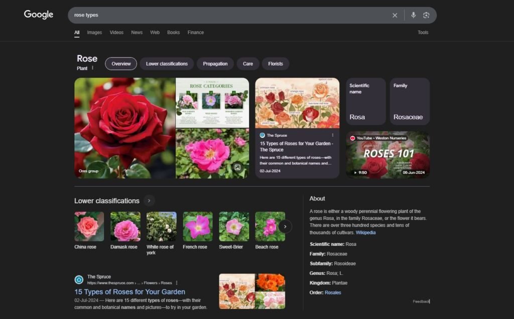 serp results for roses 