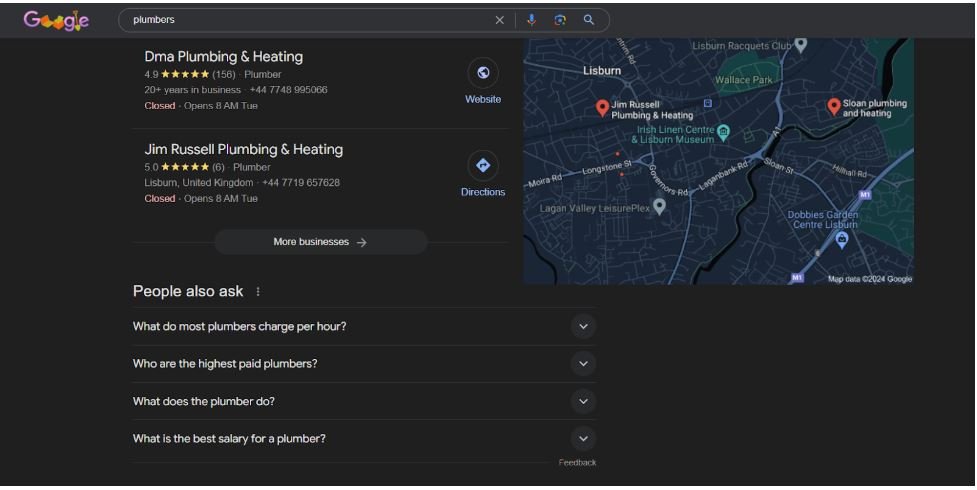 plumber local seo results